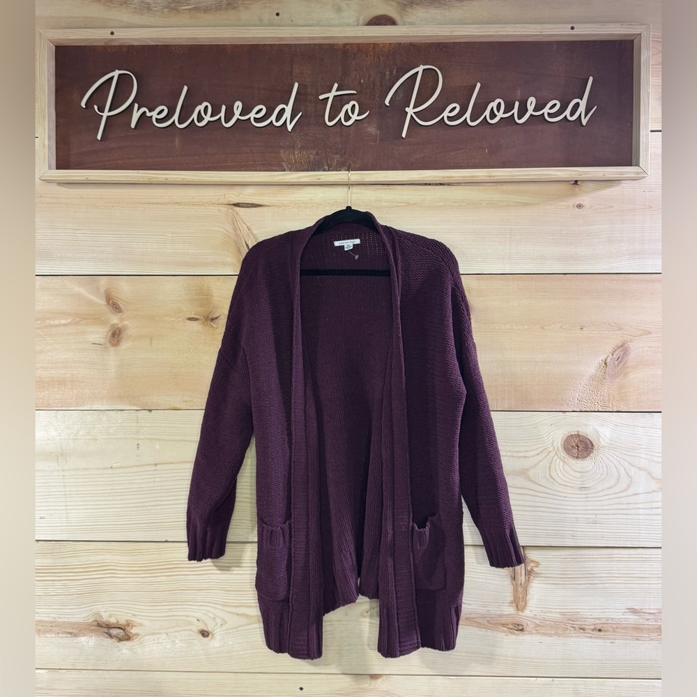 American Eagle Cardigan